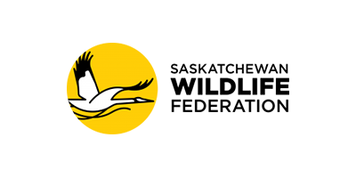 sfw-logo copy